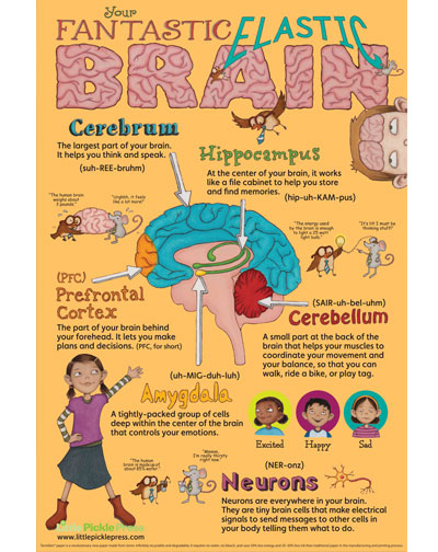 fantastic-elastic-brain-poster1.jpg